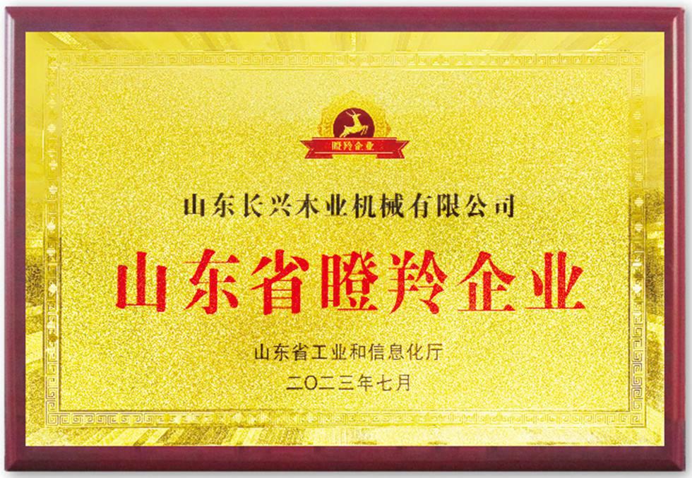 证书展示02