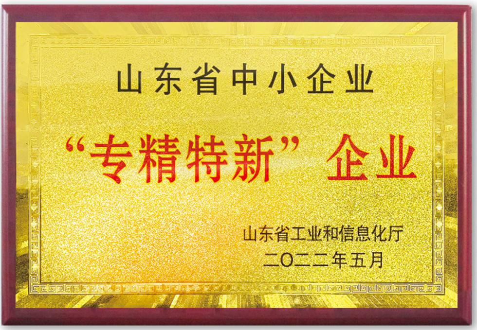 证书展示04